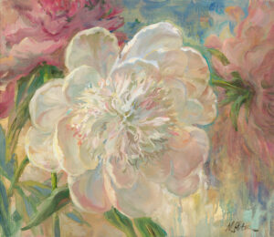 Peonies after the rain