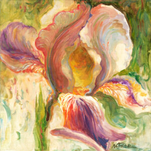 Spring iris