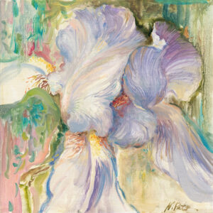 Delicate blue iris