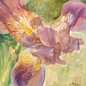 Iris in June