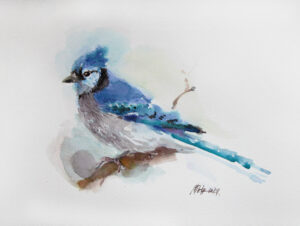 Blue jay