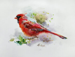 Red cardinal